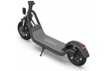 Electric folding scooter ELEMENT Lowrider Ultra 450W / 12